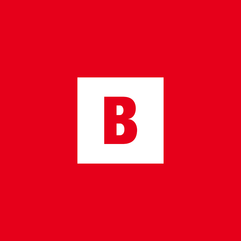 ebricks